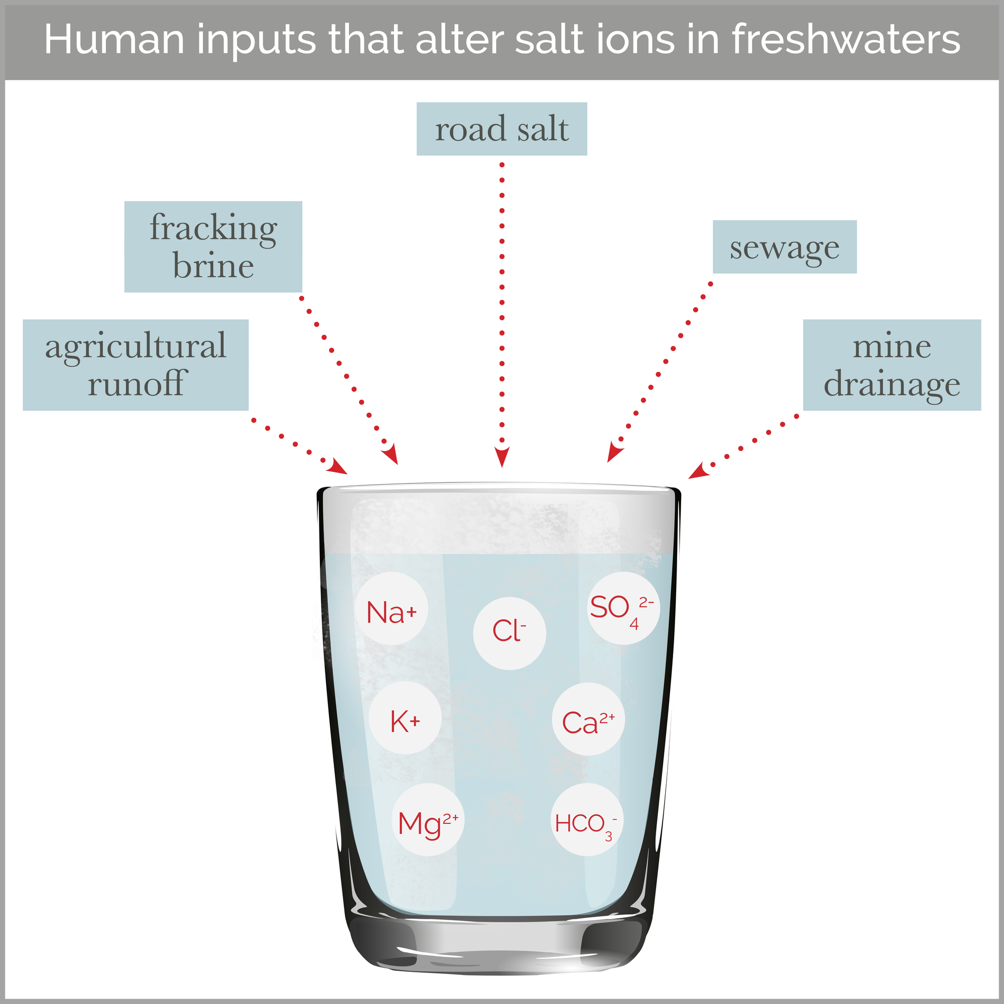 Freshwater streams and rivers are being polluted with salt •