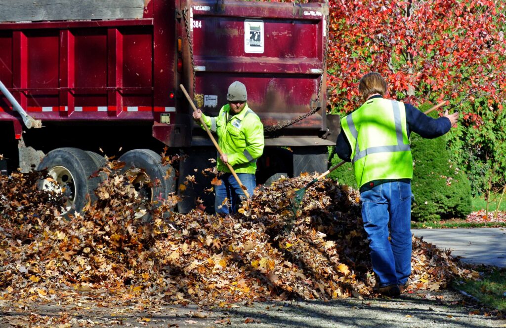 leaf-pickup