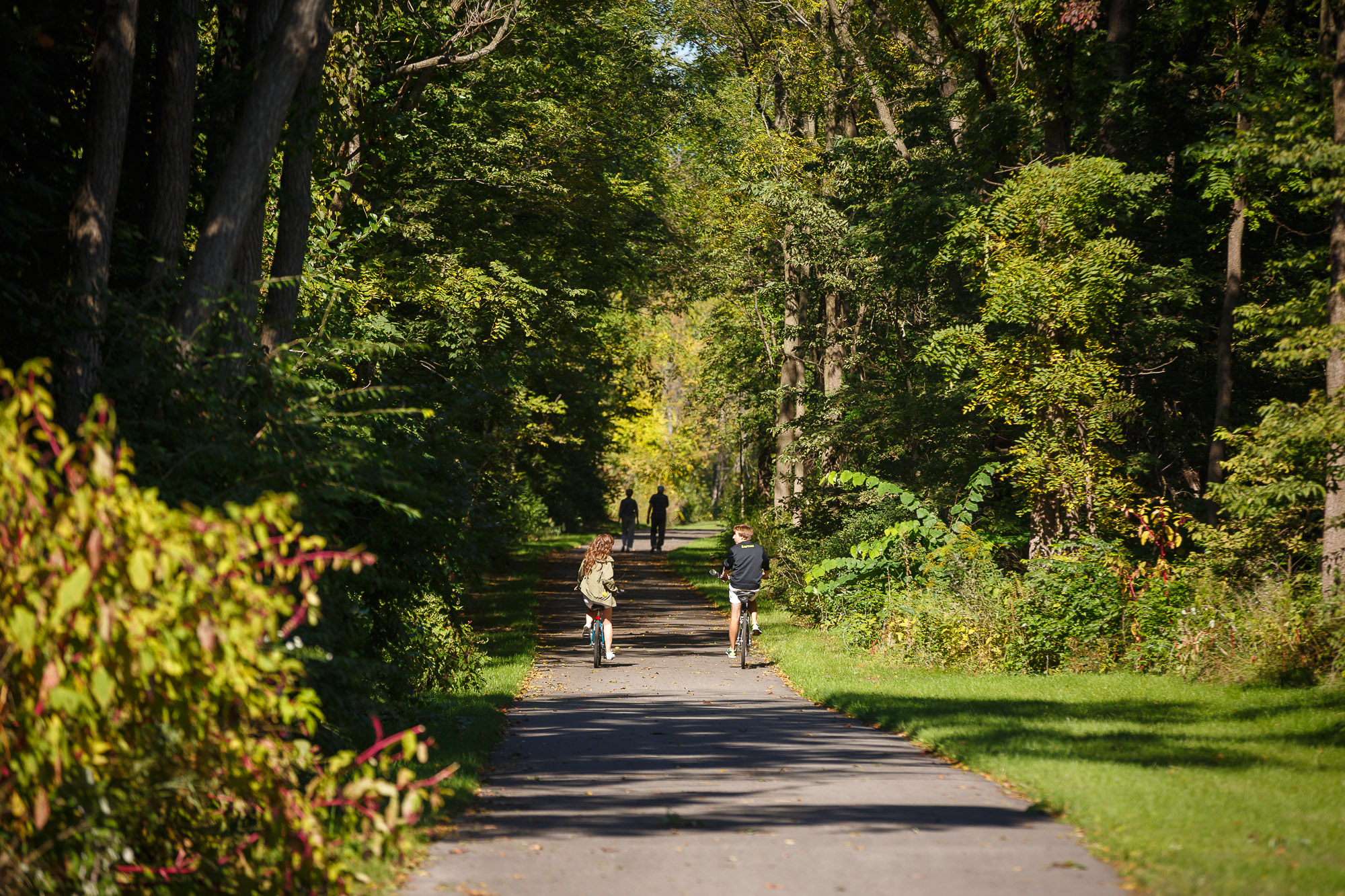 Millrace Trail Reopens Weeks Early After Major Ditch Project