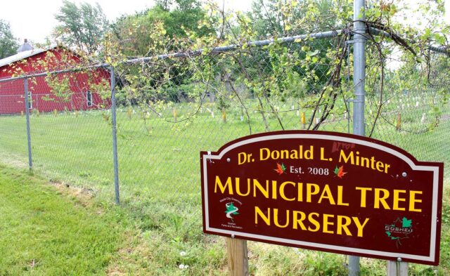 East Goshen Neighborhood - municipal tree nursery