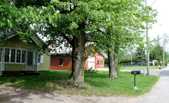 East Goshen Neighborhood - summer scene