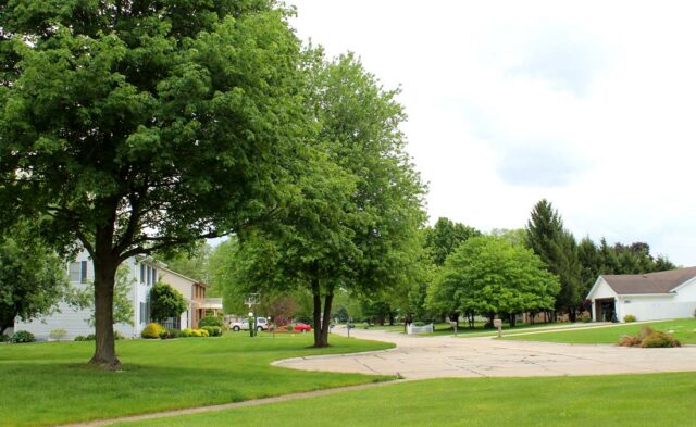 Pickwick Village Neighborhood - summer scene